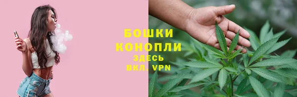ГАЛЛЮЦИНОГЕННЫЕ ГРИБЫ Зеленокумск